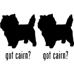 Buy Got Cairn Terrier Dog Online