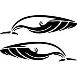Humpback Whale Stickers – Ocean Wildlife Decals (2-Pack)