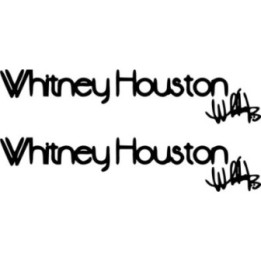 Whitney Houston Stickers – Music Fan Decals (2-Pack)