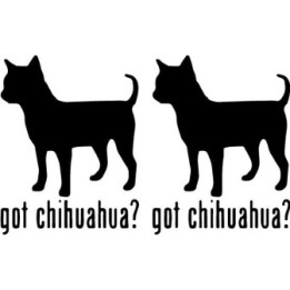 Buy Got Chihuahua Toy Dog Online