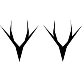 Whyte Stickers – T-130 T-150 E-150 Mountain Bike Decals (2-Pack)
