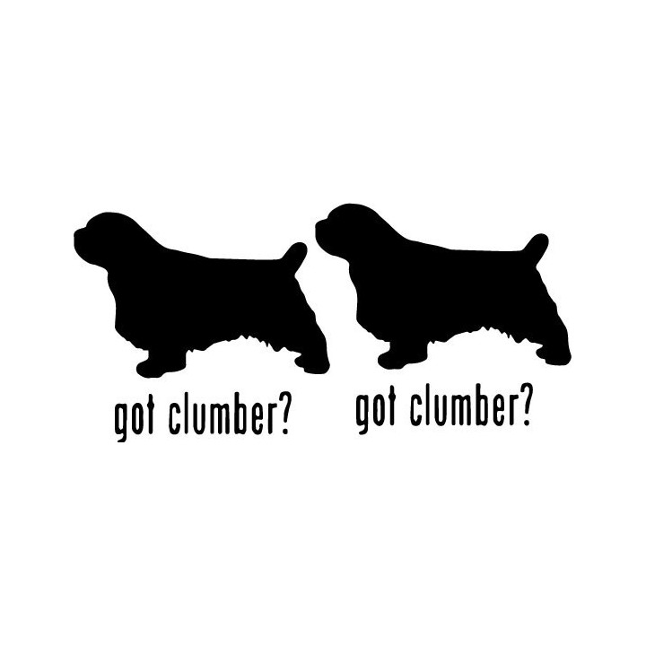 Buy Got Clumber Dog Online