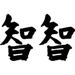 Wisdom Kanji Stickers – Japanese Symbol 知 Decals (2-Pack)