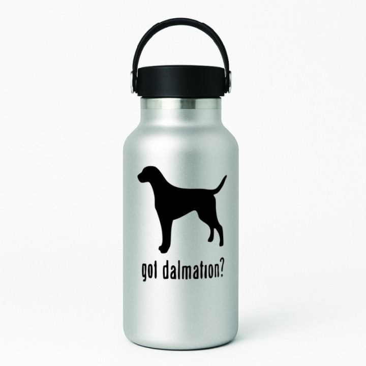 Buy Got Dalmatian Dog Online