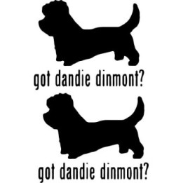 Buy Got Dandie Dinmont Terrier Dog Online