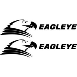Buy Xenon Eagleye Decal Sticker Online