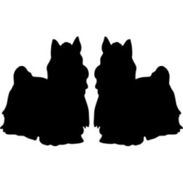 Buy Yorkshire Terrier Dog 2 Vinyl Decal Sticker Online