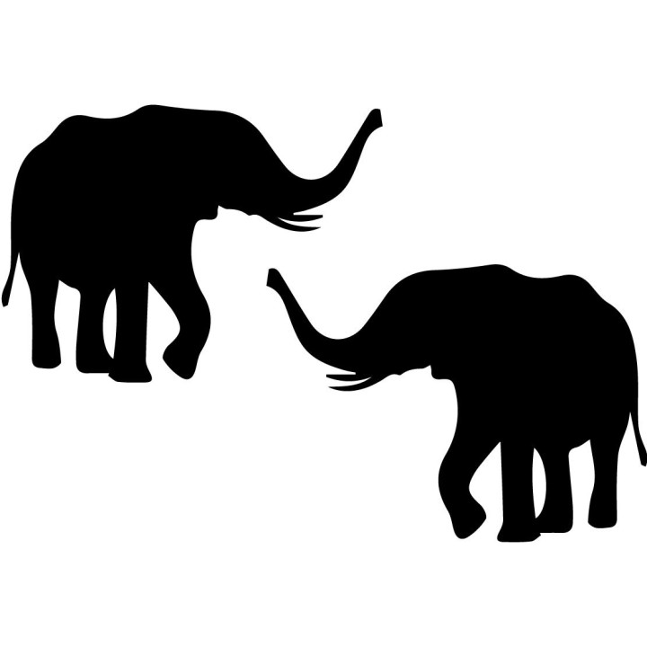Buy African Elephant Online