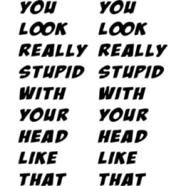 You Look Really Stupid Sticker – Funny Quote Decals (2-Pack)