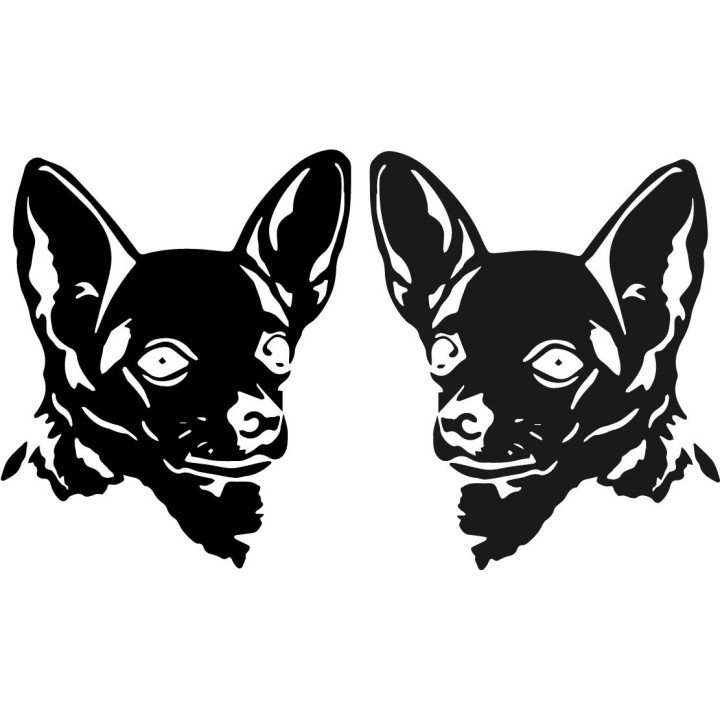 Buy Chihuahua Dog Face Online