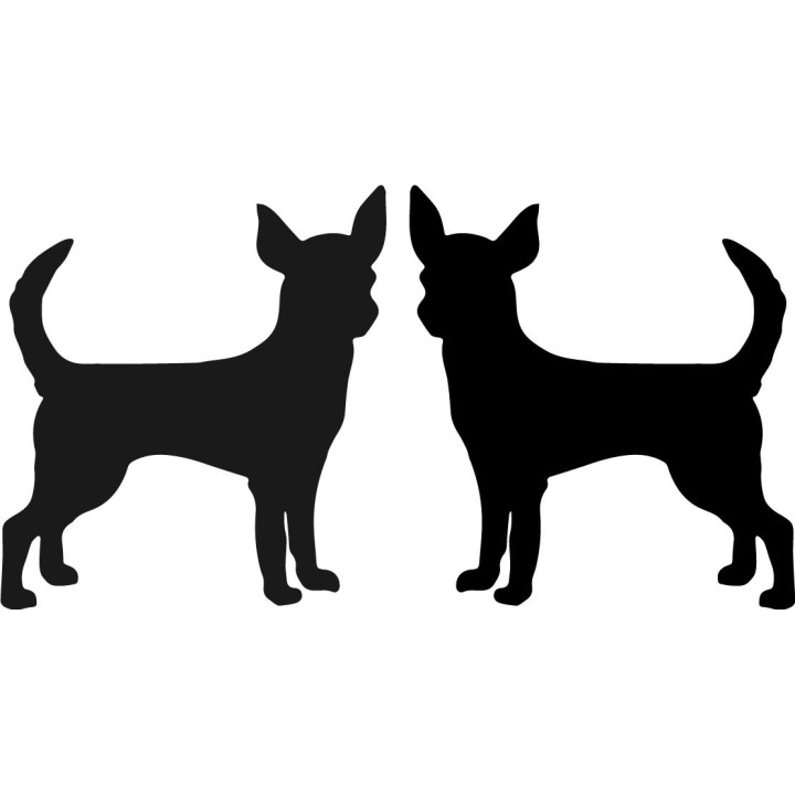 Buy Chihuahua Dog Online