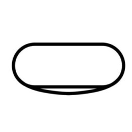 Buy AUTO CLUB SPEEDWAY OVAL DECAL Online