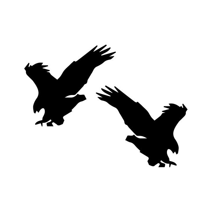 Buy Eagle Hawk Falcon Bird Online