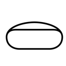 Buy IOWA SPEEDWAY OVAL DECAL Online