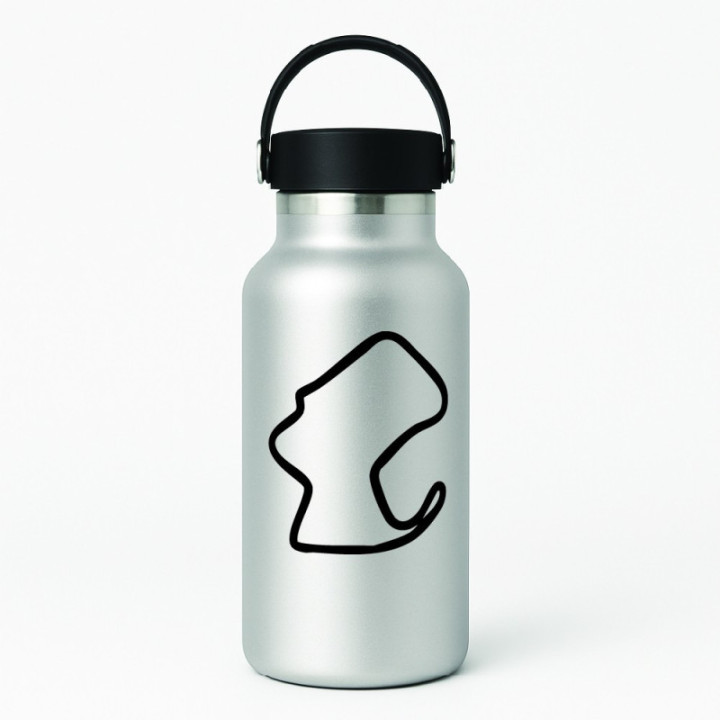 Buy LAGUNA SECA DECAL Online