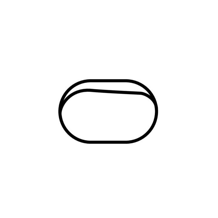 Buy LANGLEY SPEEDWAY OVAL DECAL Online