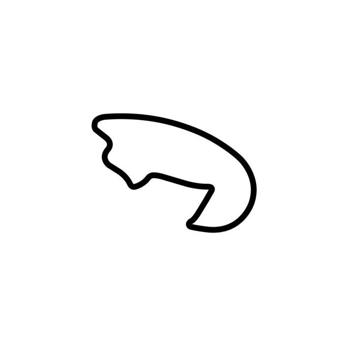 Buy MICHIGAN INTERNATIONAL SPEEDWAY ROAD COURSE DECAL Online
