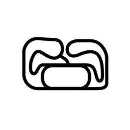 Buy NAPA SPEEDWAY SANDIA DECAL Online