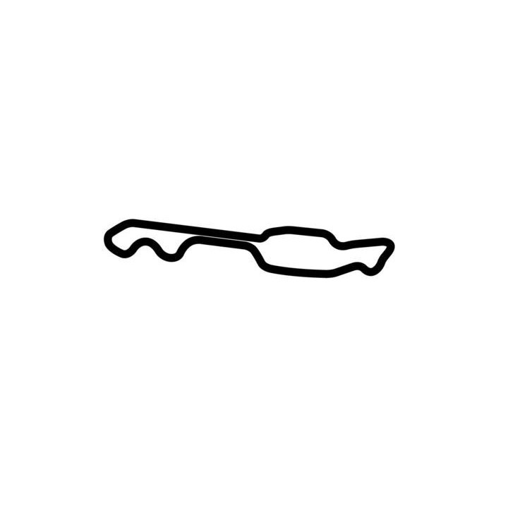 Buy NO PROBLEM RACEWAY PARK DECAL Online