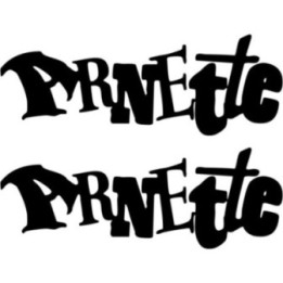 Buy Arnette Letters Surfing Decal Sticker Online
