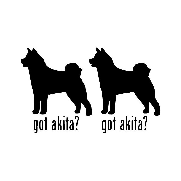 Buy Got Akita Dog Online