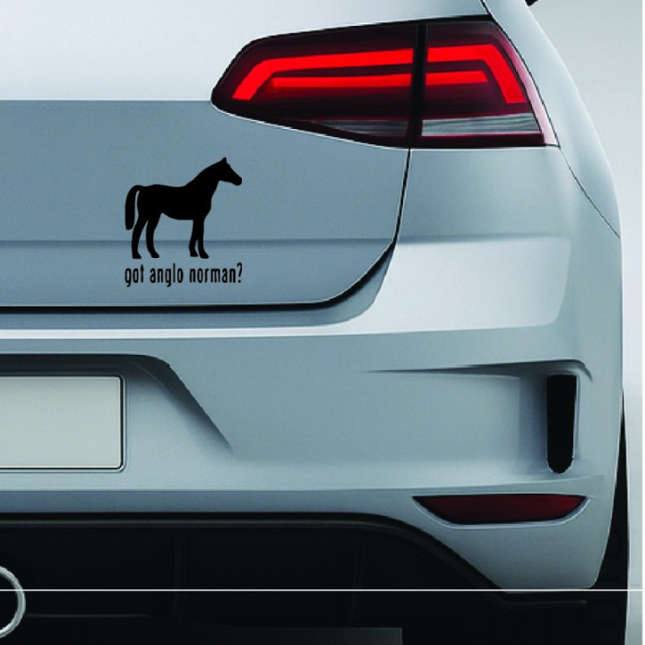 Buy Got Anglo Norman Horse Online