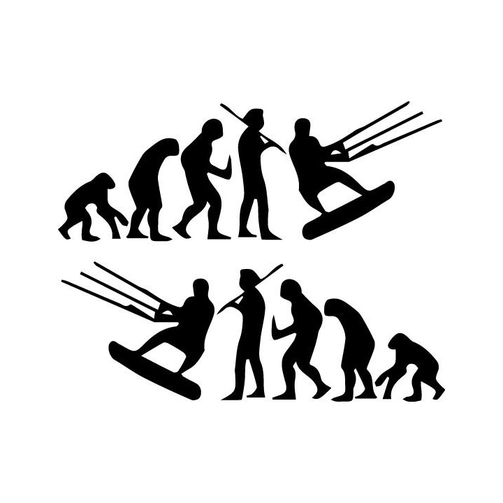 Buy Evolution Kitesurfing Evolution Vinyl Decal Sticker Online