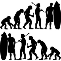 Buy Evolution Of Surfing Surf Beach Vinyl Sticker Decal Online