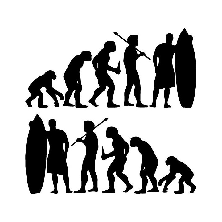 Buy Evolution Of Surfing Surf Beach Vinyl Sticker Decal Online