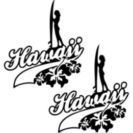 Buy Hawaii Die Cut Vinyl Decal V2 Online