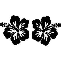 Hibiscus Stickers – Tropical Surf Beach Flower Vinyl Decals (2-Pack)