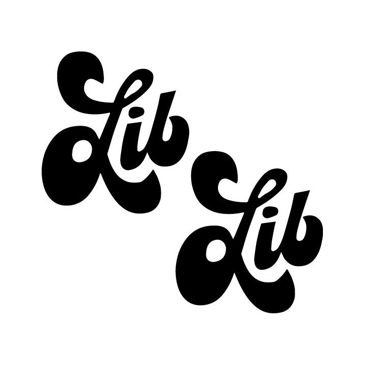 Buy Lib Tech Jamie Lynn Surfing Decal Sticker Online
