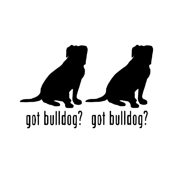 Buy Got Bulldog Dog Online