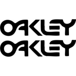 Oakley Retro Logo Stickers – Surf Ski Snowboard Decals (2-Pack)