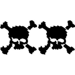 Oakley Skull Stickers – Surf Skate Snow Decals (2-Pack)