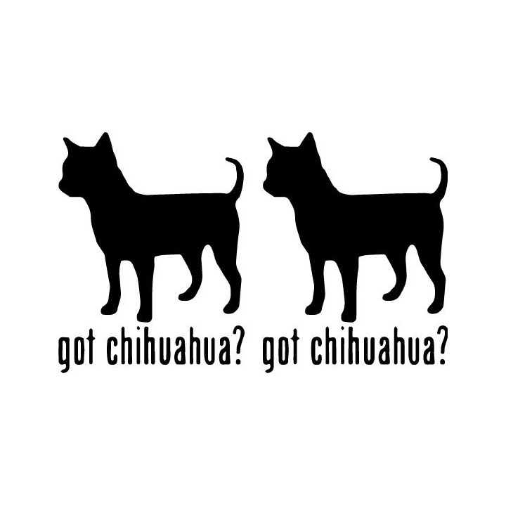 Buy Got Chihuahua Toy Dog Online