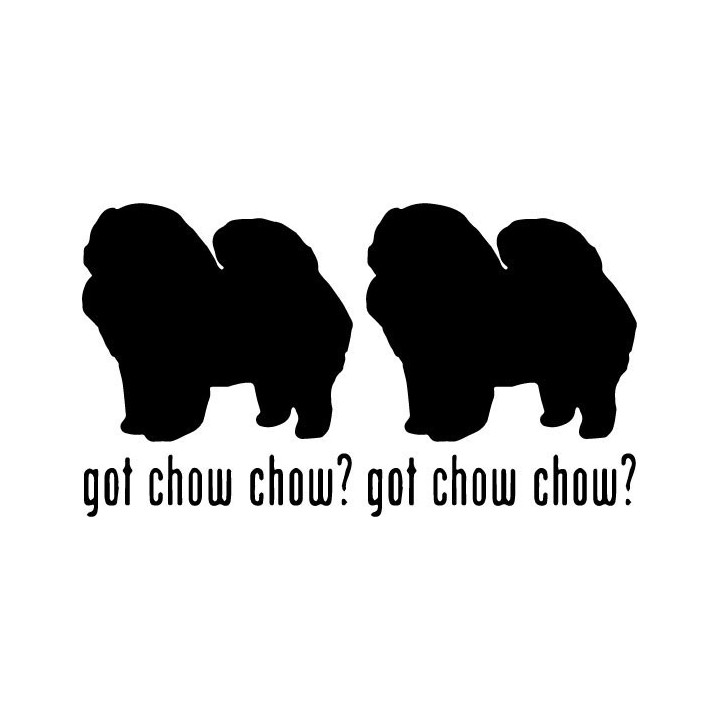 Buy Got Chow Chow Dog Online