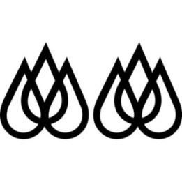 Quiksilver Travis Rice Stickers – Snowboard Freeride Action Sports Decals (2-Pack)