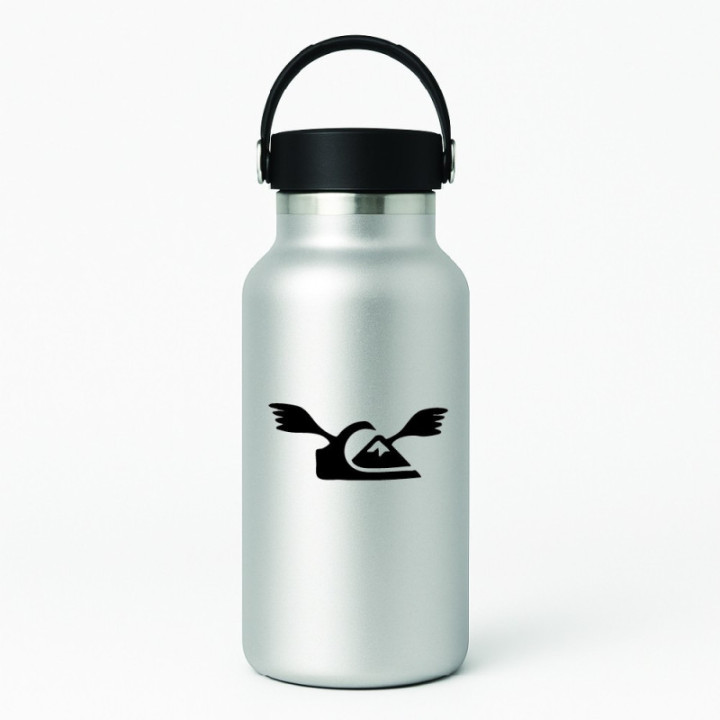 Buy Quiksilver Wings Surfing Decal Sticker Online