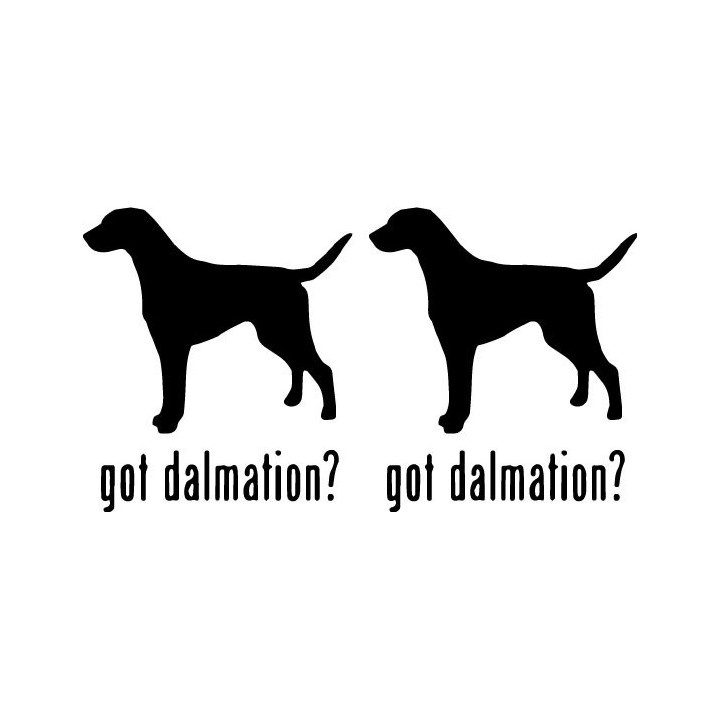 Buy Got Dalmatian Dog Online
