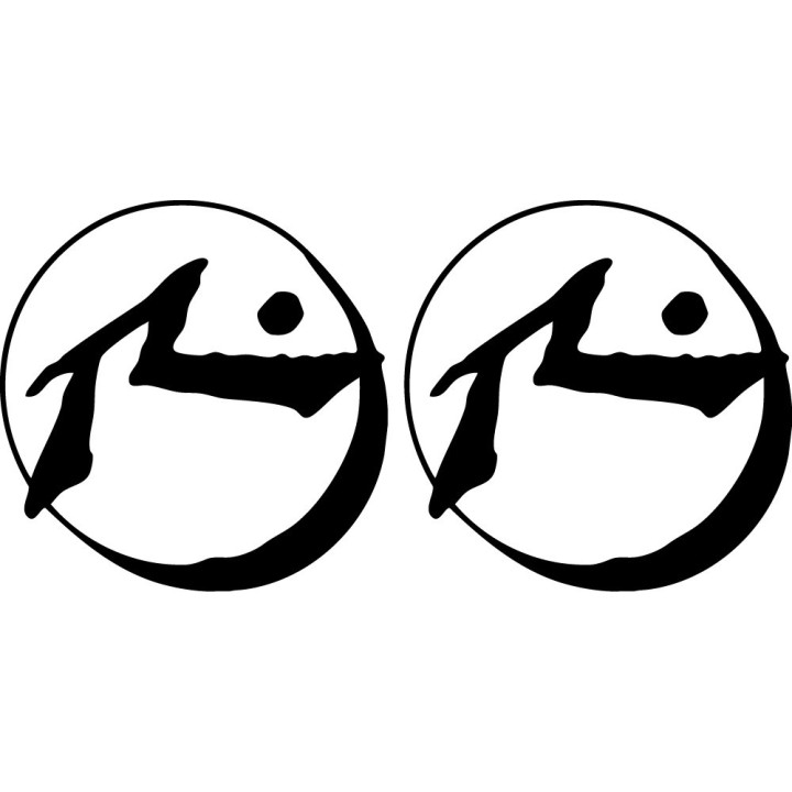 Rusty Surfboards Logo Stickers – Surf Lifestyle Decals (2-Pack)