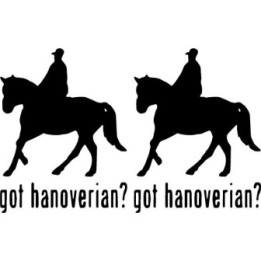 Buy Got Hanoverian Horse Online