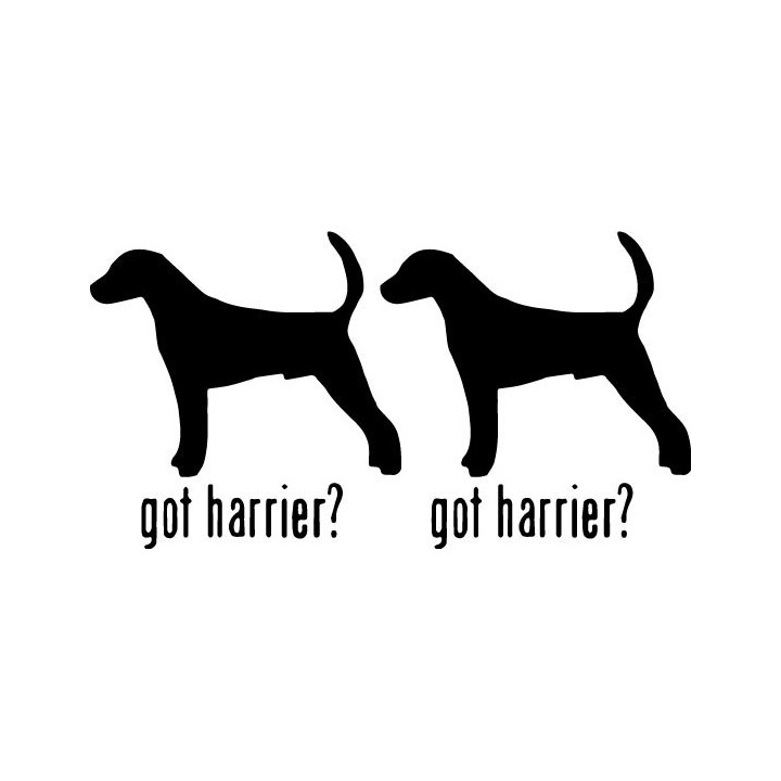 Buy Got Harrier Hound Dog Online