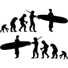 Buy Surfer Evolution Vinyl Decal Sticker Online