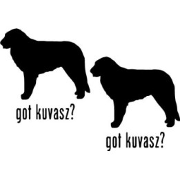 Buy Got Kuvasz Dog Online