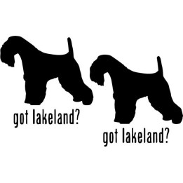 Buy Got Lakeland Terrier Dog Online