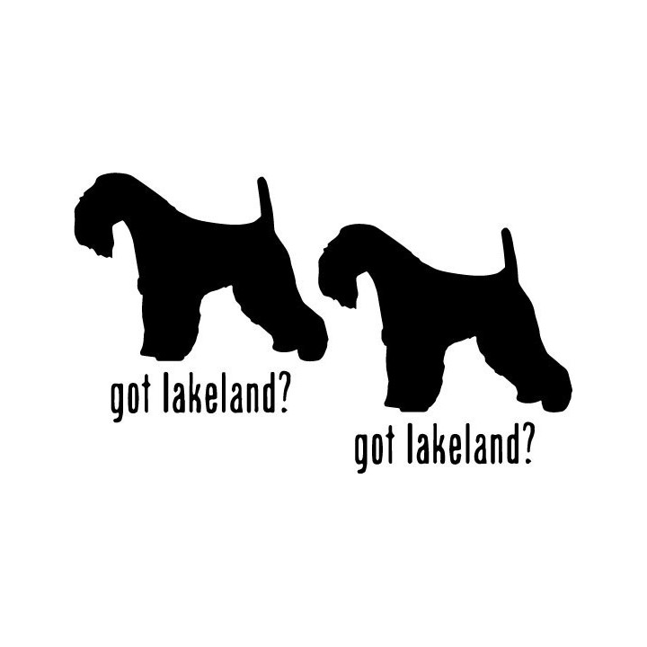 Buy Got Lakeland Terrier Dog Online