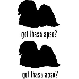 Buy Got Lhasa Apso Dog Online