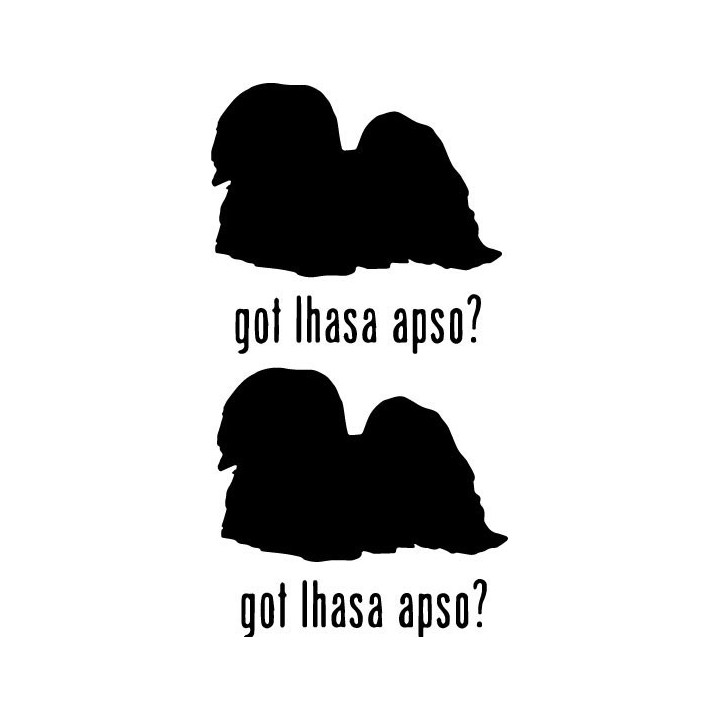 Buy Got Lhasa Apso Dog Online