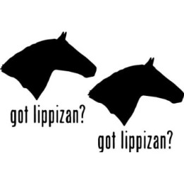 Buy Got Lipizzan Horse Online